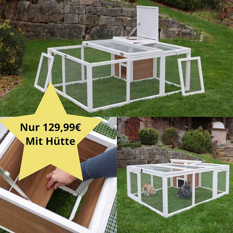 Anjas Zwergkaninchen