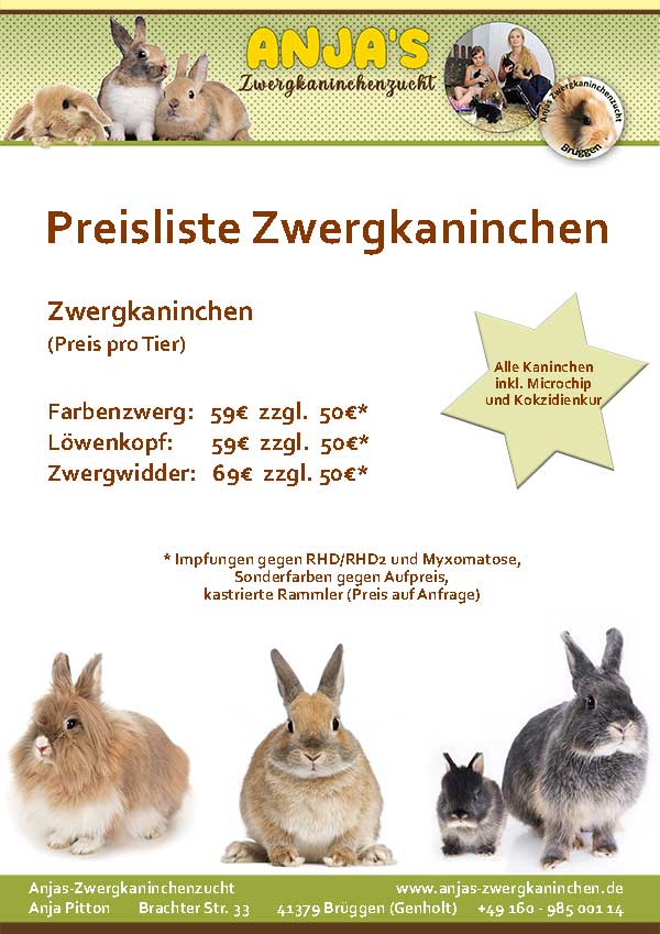 Preisliste<br /> Anjas Zwergkaninchenzucht Brüggen