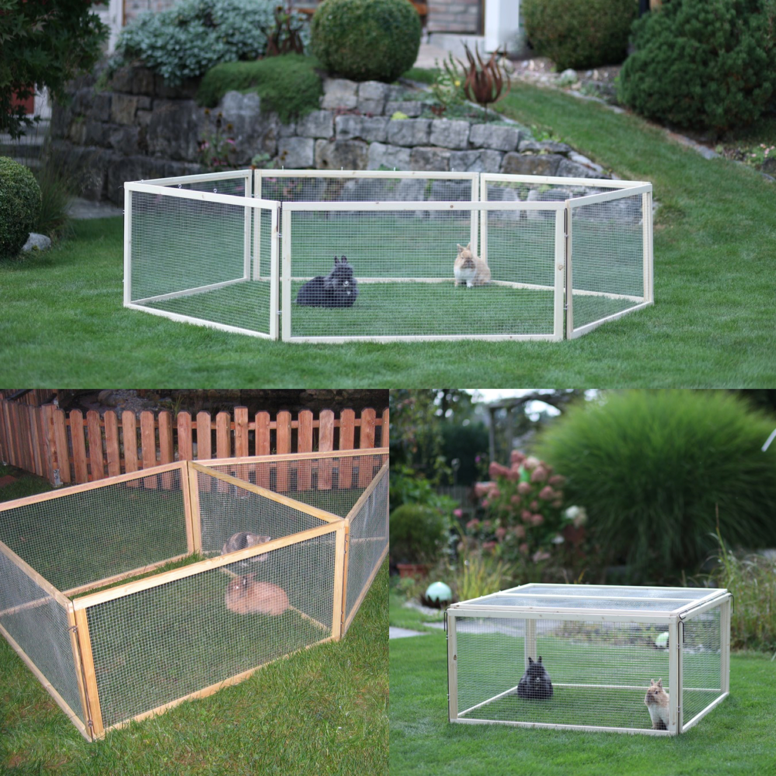 Freigehgege Vario  Anjas Zwergkaninchenzucht Brüggen