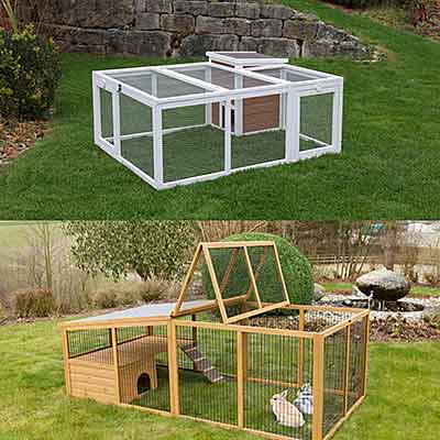 Anjas Zwergkaninchenzucht Brüggen