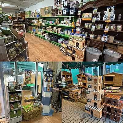 Anjas Zwergkaninchenzucht Brüggen